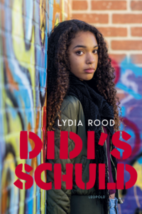 Didi’s schuld - Lydia Rood
