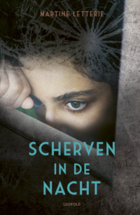 Scherven in de nacht - Martine Letterie